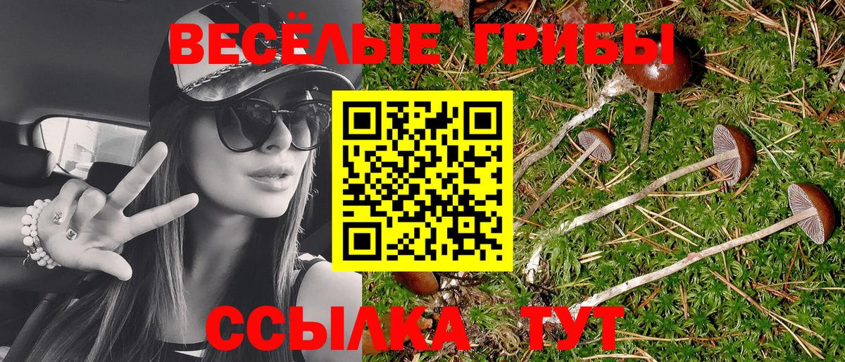 Галлюциногенные грибы Psilocybe  продажа наркотиков  Сосновый Бор  Вход с VPN 